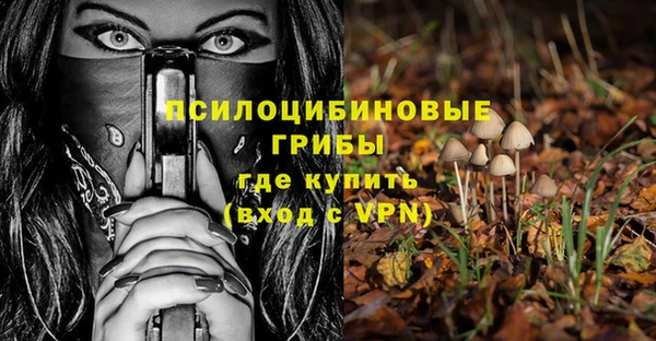 амф Кукмор