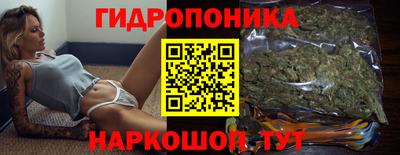 ALPHA PVP Гатчина
