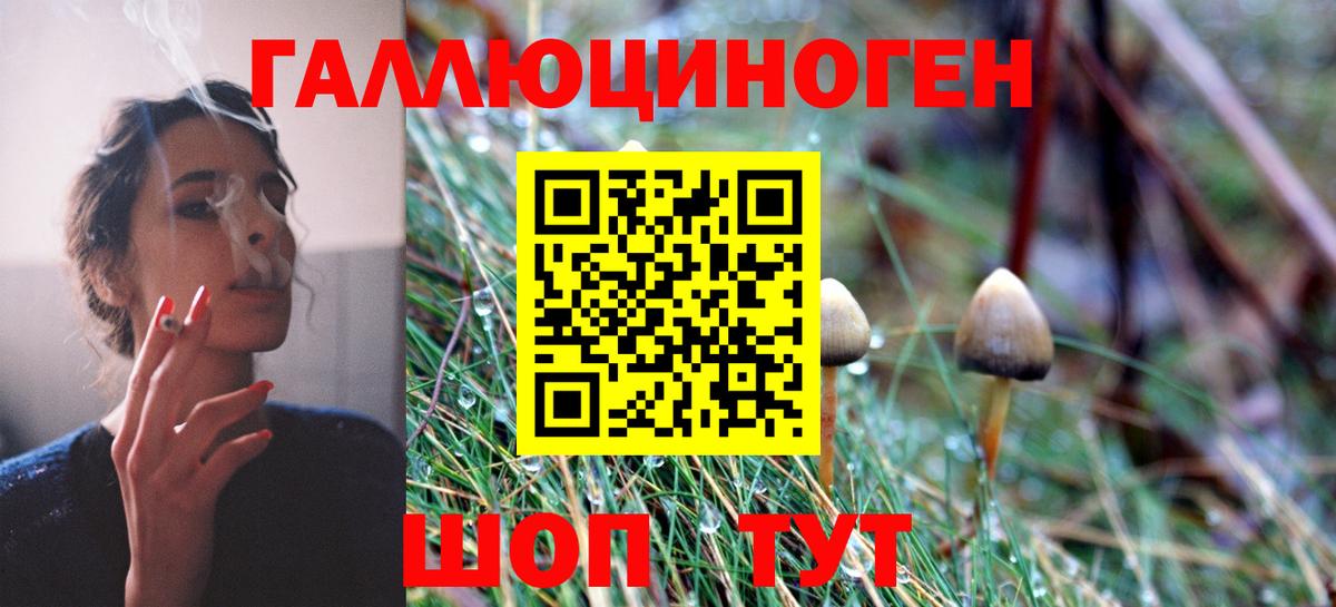 Галлюциногенные грибы мухоморы  Вход с VPN  Железногорск 